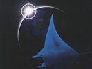 Mike Oldfield - Songs of Distant Earth