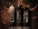 Back On The Controls - 2 DISC SET - Lee Scratch Perry (2014, Vinyl New)