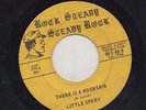 Rock Steady Steady Rock 45 Little Sport There Is A Mountain VG