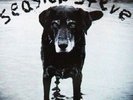 Seasick Steve You Can't Teach An Old Dog New Tricks black vinyl LP NEW/SEALED