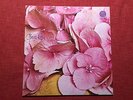 Lp Still Life: Same, Vertigo Swirl (Gatefold Cover)