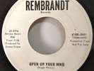 Nuchez's 1966 Open Up Your Mind Rembrandt 5001 Rare Promo Garage Psych LSD 25 VG
