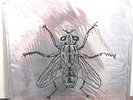 Butthole Surfers-Fly-Rare Original 1993 Punk Avant Garde 10