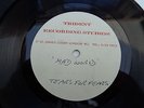 tears for fears   acetate single  on trident recording studios records 