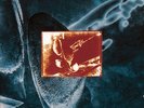 Dire Straits - On Every Street [Vinyl New]