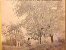 YELLOW LABEL MINT   SMALL FACES   THERE ARE BUT FOUR SMALL FACES  IMMEDIATE 1968