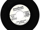 THE PLATTERS - SWEET SWEET LOVIN - MUSICOR - DJ DEMO - VERY GOOD ++ CONDITION