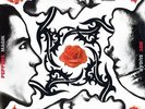Red Hot Chili Peppers - Blood Sex Sugar Magik 2x 180g vinyl LP NEW/SEALED Magic