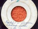 DESMOND DEKKER & THE ACES Beautiful & Dangerous Blank 45 I’ve Got The Blues MP3