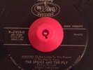 Psych Garage Halloween Rocker 45 BOBBY CHRISTIAN The Spider And The Fly WING VG+