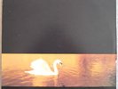 Van Morrison - Avalon Sunset - 1989 - Yugoslav issue -vinyl gramophone record LP