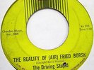 THE DRIVING STUPID Horror Asparagus Stories 45 RARE GARAGE on KR