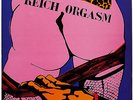 REICH ORGASM LP PRESSAGE ORIGINAL CHAOS PROD 1984 / NEAR MINT / FRENCH PUNK OÏ