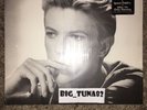 Original Release 1976 David Bowie Changes One Greatest Hits Vinyl Album