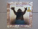 John Lee Hooker - The Healer