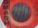 The tempests What you going to do