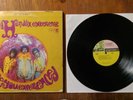 The Jimi Hendrix Experience - Are You Experienced? [VINYL]