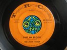 IKE & TINA TURNER Dust My Broom HEAR RARE 1966 NORTHERN SOUL 45 TANGERINE