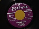 JIMMY BURKE Sequins R&B DOO-WOP FORTUNE 45 NM+ Forbidden Love / Ooh Thos Eyes