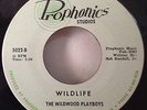 Wildwood Playboys 60's Wildlife Prophonics Studios 5022 Michigan Garage Surf NM