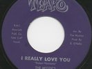 The MYSTICS i really love you 45 killer NORTHERN SOUL chicago MOD dancer HEAR ?