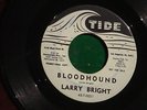 LARRY BRIGHT   BLOODHOUND 45 Promo Copy R&B ROCKER * HEAR IT