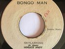 HORACE ANDY - SKYLARKING - BONGO MAN ( ROOTS 7 )