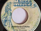 THE MESSIAHS - CONFUSION IN A BABYLON - MOSES ( ROOTS 7 )