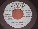 The GALES 45 Darling Patricia J-V-B RARE Detroit doo wop All is Well JVB grail 7