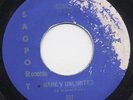MARK V UNLIMITED gone  45 fantastic CROSSOVER funk NORTHERN SOUL dancer HEAR ?
