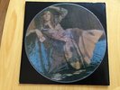 DAVID BOWIE Vinyl,  rare Picture Disc LP, The man who sold the world dreag cover