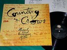 Counting Crows - August And Everything After BRAZIL ORIGINAL 1993 LP Insert