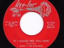 Northern Soul 45 SUNNY & SUNLINERS If I Could See You Now/Should I Take You Home