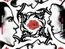 Red Hot Chili Peppers - Blood Sugar Sex Magik