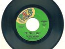 THE SOUL MACHINE - TWITCHIE FEET 45 '66 funky R&B instro Pzazz ?