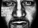 Moses Pelham - Geteiltes Leid, Vol. 3