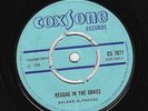 Roland Alphonso - Reggae In The Grass - KILLER
