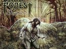 Dark Forest - Awakening