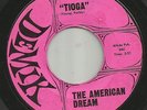 ROCKABILLY SURF INSTRO  bw/ VOCAL- THE  AMERICAN DREAM -  HEAR BOTH -1968 DEMIK