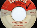 The PREMIERS 45 I Think I Love You / Tonight MINK label DOO WOP mg269