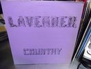 Lavender Country Gay Community Social Services Seattle Patrick Haggerty LP VG+