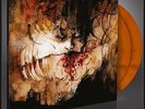 SHINING - IX - Everyone, Everything, Everywhere, Ends [ORANGE] (DLP) - ltd. 250
