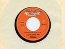 Musterplatte / Promo The Skyliners - Pennies from Heaven / I'll be seeing you