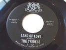 THE TRIDELS - IMAGE OF MY LOVE 7