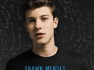 Shawn Mendes - Handwritten (Vinyl LP / Album) (New)