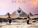 Northlane Singularity limited edition red/purple splattered coloured vinyl LP ne