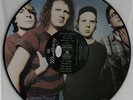 Mudhoney Every Good Boy Deserves Fudge picture disc LP vinyl album record USA