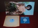 FLEETWOOD MAC Mr Wonderful LP 1968 BLUE HORIZON MONO 1st Press + 45