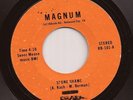RARE Private Bay Area Modern Soul Rock 45 FEVER RAINBOW Stone Shame MAGNUM Hear