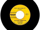Detroit Northern Soul Instr' - RANDY GIBSON TRIO on WASHPAN